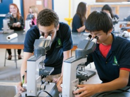 Students using microscopes