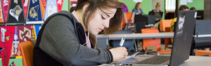 Image of NexTech High School student studying.